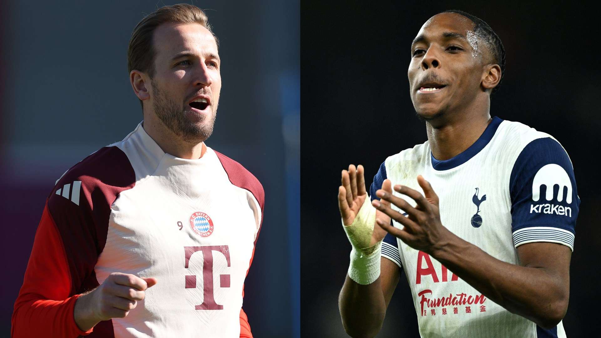 該屆比賽 該屆比賽